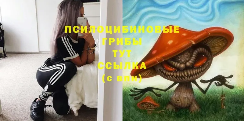 Псилоцибиновые грибы MAGIC MUSHROOMS Волоколамск